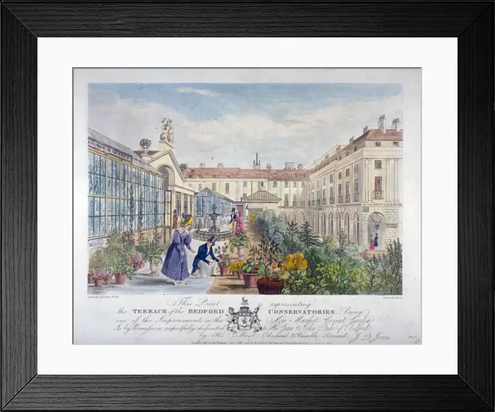 Framed Print : Bedford Conservatories terrace at Covent Garden Market, Westminster, London, 1831 Framed Print : Bedford Conservatories terrace at Covent Garden Market, Westminster, London, 1831