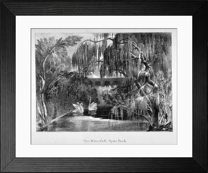 Framed Print : View of a waterfall and two swans in Hyde Park, London, c1820 Framed Print : View of a waterfall and two swans in Hyde Park, London, c1820