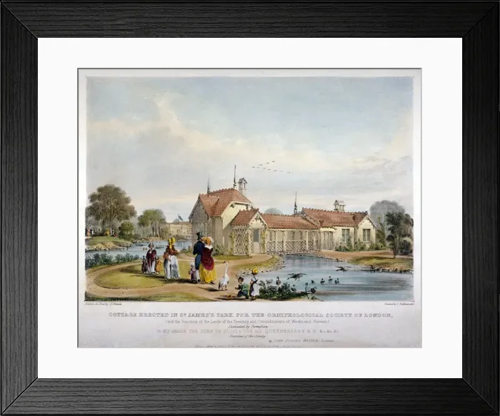 Framed Print : Cottage erected in St Jamess Park for the Ornithological Society of London, Westminster, 1844 Framed Print : Cottage erected in St Jamess Park for the Ornithological Society of London, Westminster, 1844