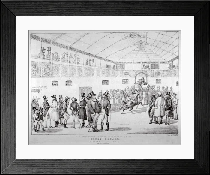 Framed Print : Auction rooms at Aldridges Horse Repository, St Martins Lane, Westminster, London, 1824 Framed Print : Auction rooms at Aldridges Horse Repository, St Martins Lane, Westminster, London, 1824