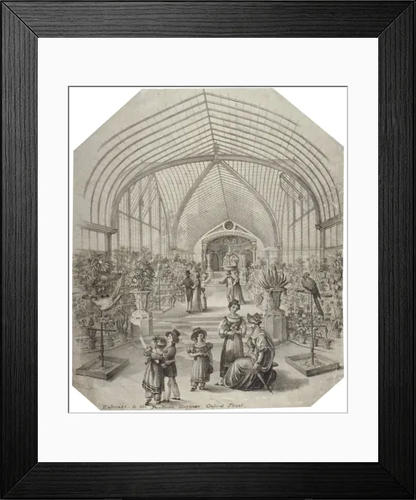 Framed Print : Conservatory of the Pantheon, Oxford Street, Westminster, London, c1830 Framed Print : Conservatory of the Pantheon, Oxford Street, Westminster, London, c1830