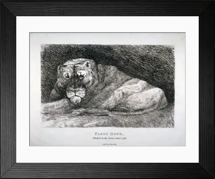 Framed Print : Fanny Howe, whelp d in the Tower, 1794 Framed Print : Fanny Howe, whelp d in the Tower, 1794