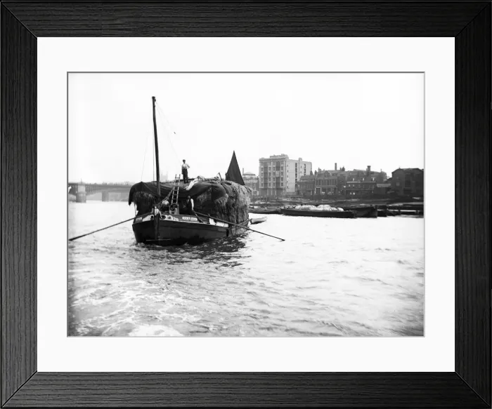 Framed Print : Dumpy barge on the Thames loaded with hay or esparto, London, c1905 Framed Print : Dumpy barge on the Thames loaded with hay or esparto, London, c1905