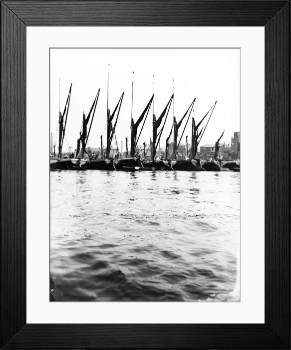 Framed Print : Topsail barges at anchor on the Thames, some with topsails lowered, London, c1905 Framed Print : Topsail barges at anchor on the Thames, some with topsails lowered, London, c1905