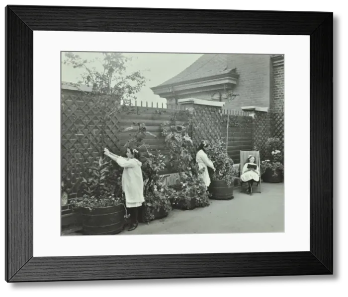 Framed Print : Girls gardening and reading in a roof top garden, White Lion Street School, London, 1912 Framed Print : Girls gardening and reading in a roof top garden, White Lion Street School, London, 1912
