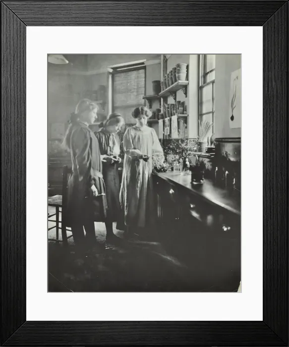 Framed Print : Botany lesson, Chelsea Secondary School (Hortensia Road School), London, 1911 Framed Print : Botany lesson, Chelsea Secondary School (Hortensia Road School), London, 1911