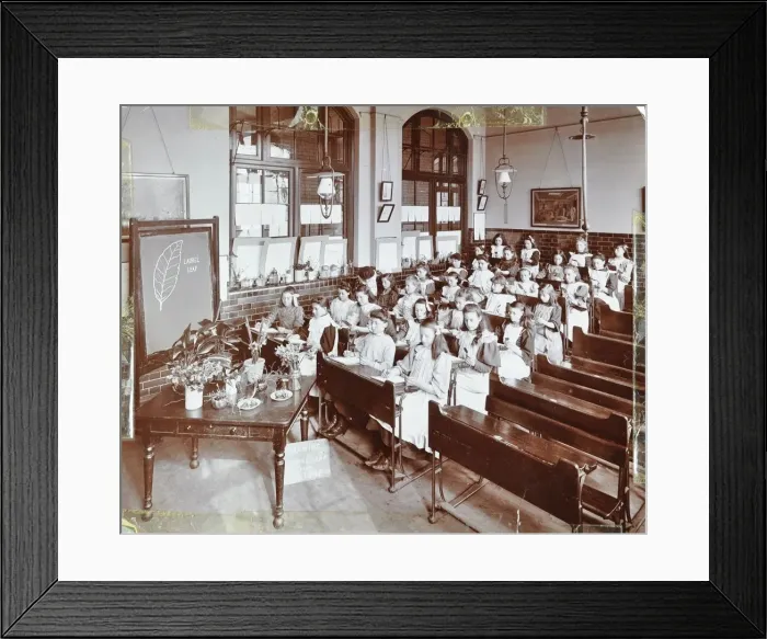Framed Print : Nature lesson, Albion Street Girls School, Rotherhithe, London, 1908 Framed Print : Nature lesson, Albion Street Girls School, Rotherhithe, London, 1908