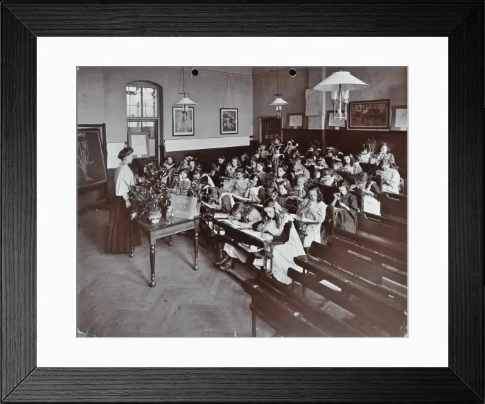 Framed Print : Nature lesson, Albion Street Girls School, Rotherhithe, London, 1908 Framed Print : Nature lesson, Albion Street Girls School, Rotherhithe, London, 1908