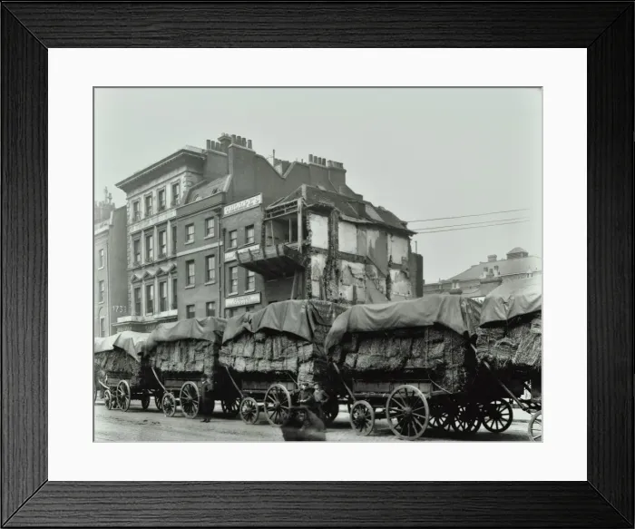 Framed Print : Hay wagons, Whitechapel High Street, London, 1903 Framed Print : Hay wagons, Whitechapel High Street, London, 1903