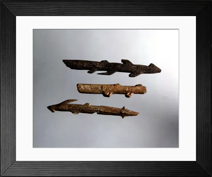 Framed Print : Staghorn harpoons, with a double row of teeth and a circular section (Urdax Caves) Framed Print : Staghorn harpoons, with a double row of teeth and a circular section (Urdax Caves)