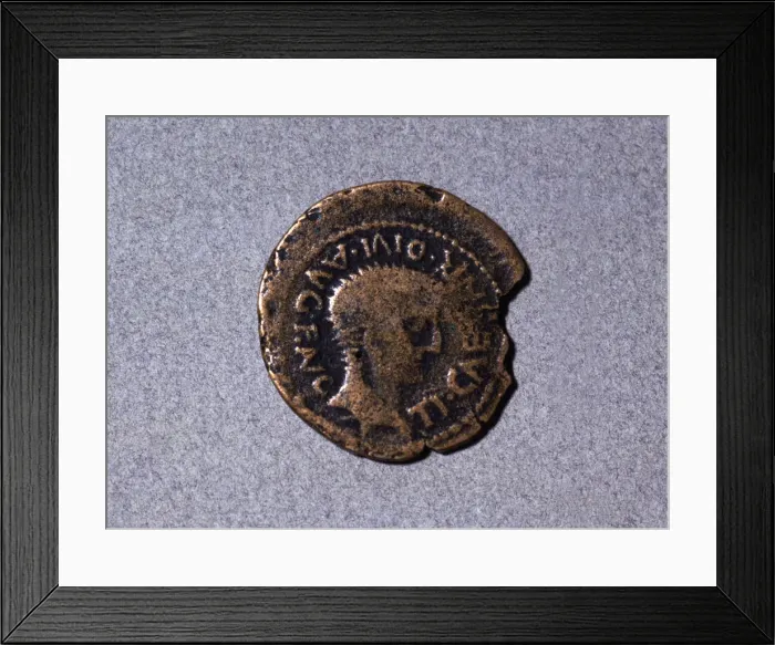 Framed Print : Roman coin from the first half of the first century AC, with a head facing right Framed Print : Roman coin from the first half of the first century AC, with a head facing right