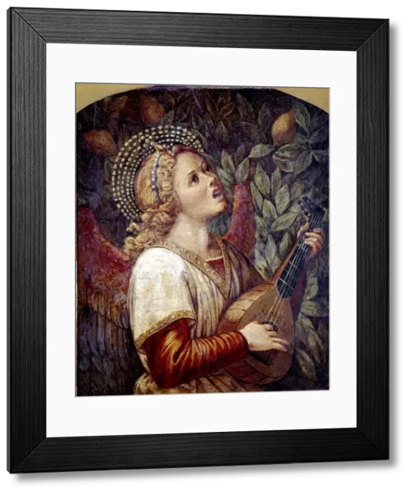 Framed Print : Angel Musician, by Melozzo da Forli Framed Print : Angel Musician, by Melozzo da Forli
