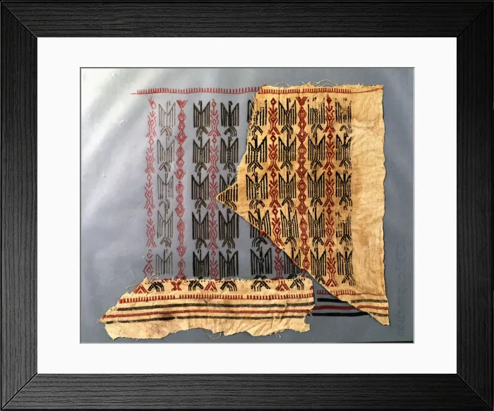 Framed Print : Piece of tissue, made in silk and linen, with eagles drawn, made with a smooth pedal loom Framed Print : Piece of tissue, made in silk and linen, with eagles drawn, made with a smooth pedal loom