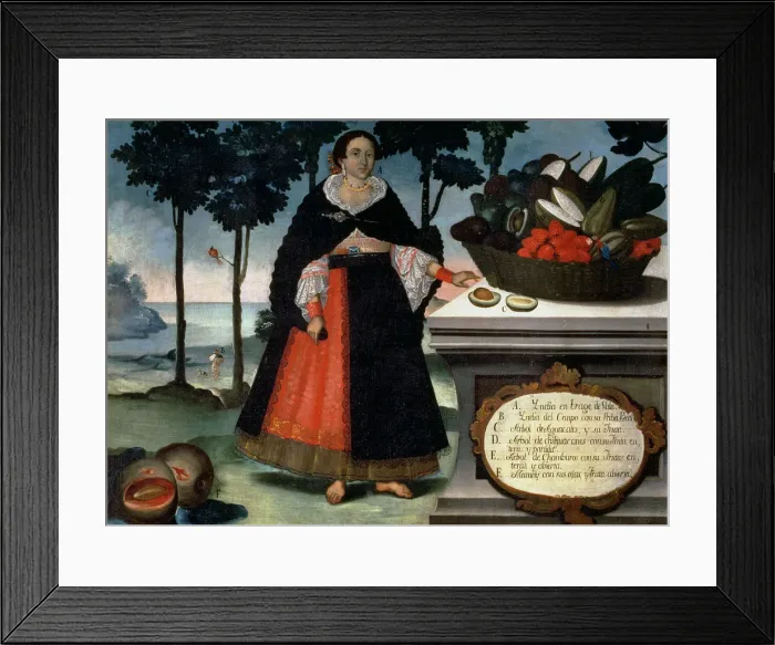 Framed Print : Indian woman in gala dress. Oil by Vicente Alban, preserved in the Museum of America in Madrid Framed Print : Indian woman in gala dress. Oil by Vicente Alban, preserved in the Museum of America in Madrid