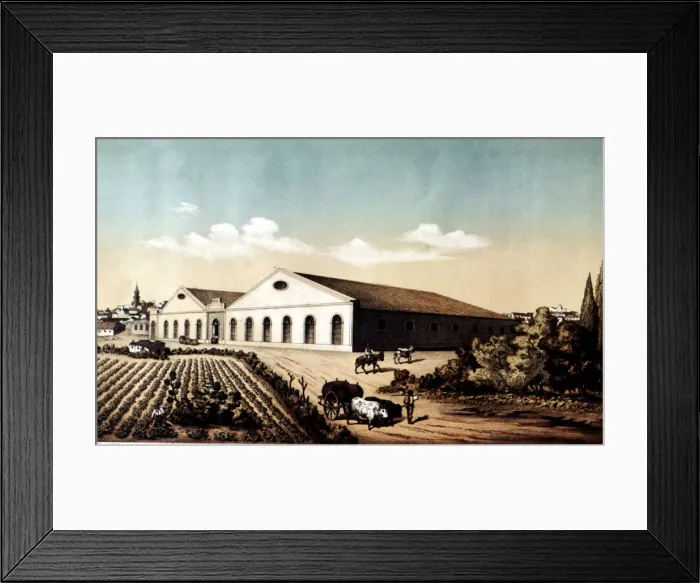Framed Print : Exterior view of the building and vineyards of Bodegas of Jerez de la Frontera, lithography Framed Print : Exterior view of the building and vineyards of Bodegas of Jerez de la Frontera, lithography