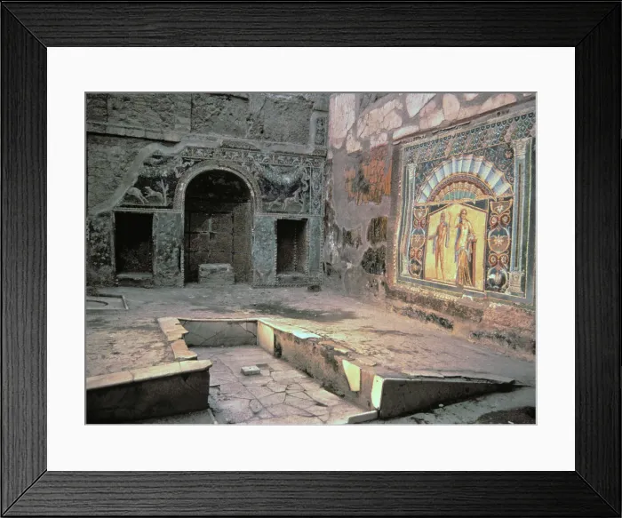 Framed Print : Mosaics in the House of Neptune and Amfitrita in the Herculaneum Framed Print : Mosaics in the House of Neptune and Amfitrita in the Herculaneum