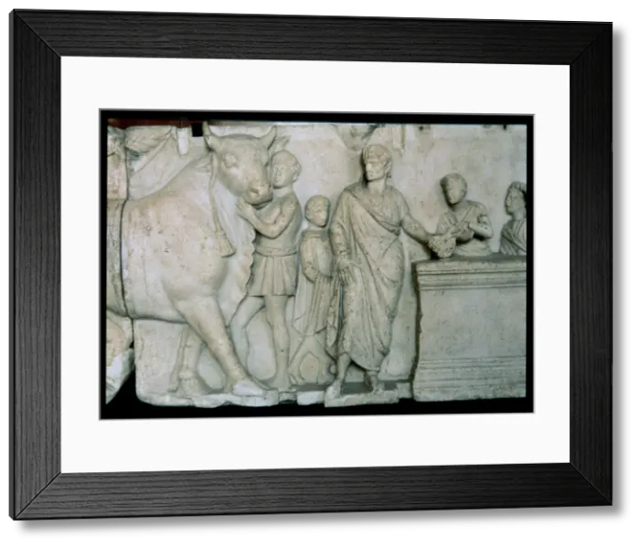 Framed Print : Scene of the sacrifice of a bull to the god Mars, relief on the altar of Domitius Aenobarbus Framed Print : Scene of the sacrifice of a bull to the god Mars, relief on the altar of Domitius Aenobarbus