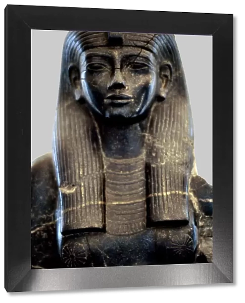 Statue of Queen Teie, consort of Amenhotep III
