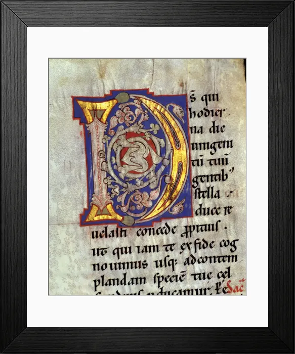 Framed Print : Drop cap D illuminated with heads of birds and vegetables interlacing in the Sacramentary Framed Print : Drop cap D illuminated with heads of birds and vegetables interlacing in the Sacramentary