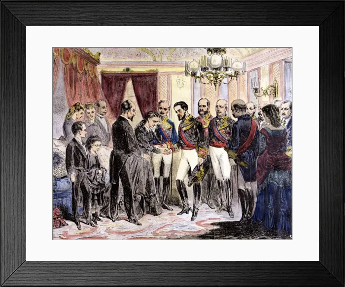 Framed Print : Amadeo of Savoy gives his condolences to the Duchess of Prim in the Buenavista Palace Framed Print : Amadeo of Savoy gives his condolences to the Duchess of Prim in the Buenavista Palace