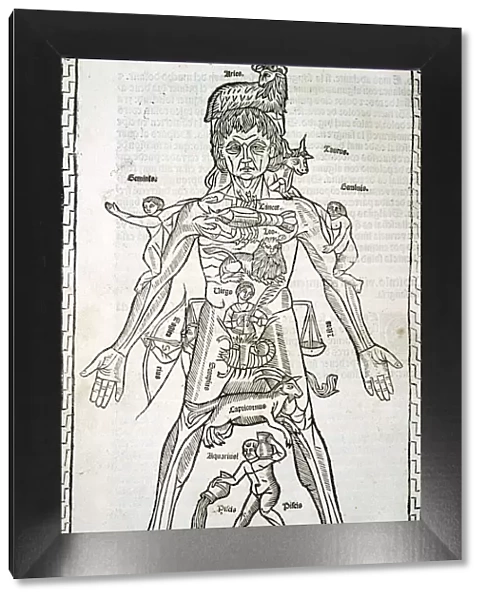 Male body with signs of the Zodiac, sheet in the work Epilogue of medicine and surgery