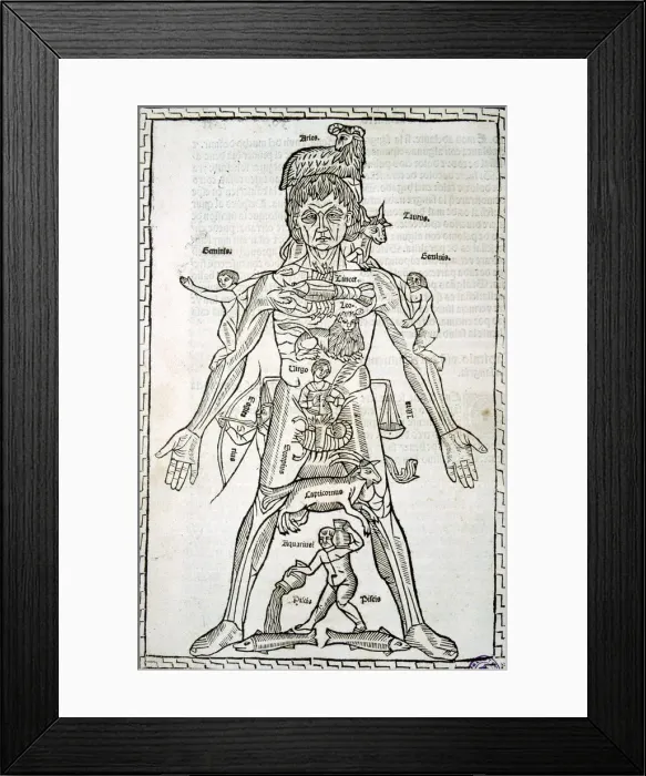 Framed Print : Male body with signs of the Zodiac, sheet in the work Epilogue of medicine and surgery Framed Print : Male body with signs of the Zodiac, sheet in the work Epilogue of medicine and surgery