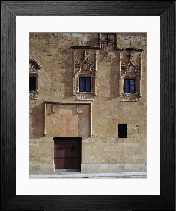 Framed Print : Detail of the facade of the Palace of Dr Framed Print : Detail of the facade of the Palace of Dr