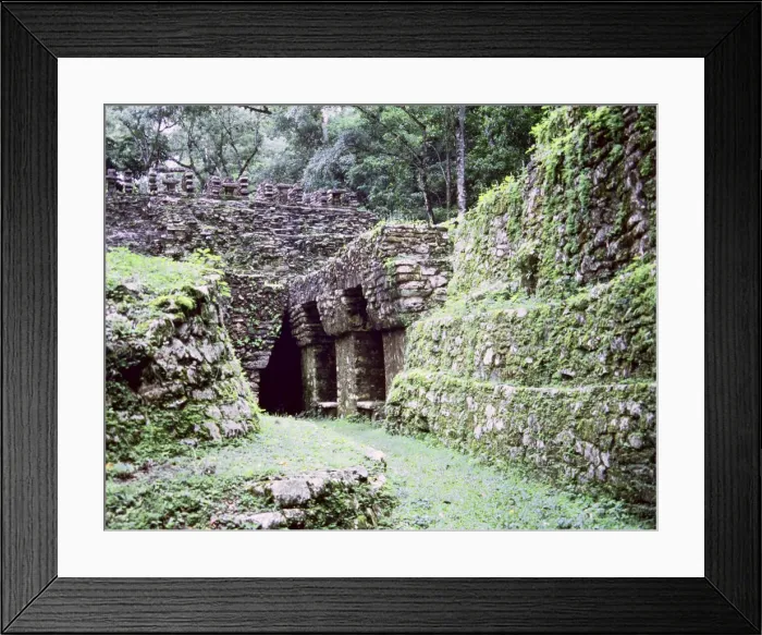 Framed Print : Overview front of the Temple of the Labyrinth in Yaxchilan Framed Print : Overview front of the Temple of the Labyrinth in Yaxchilan