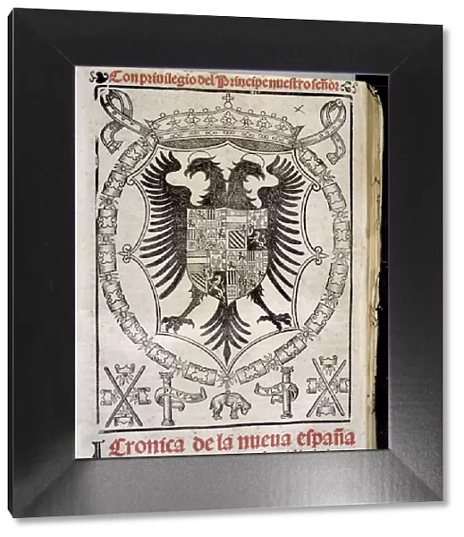 Cover of the work Cronica de la Nueva Espana (Chronicle of New Spain)