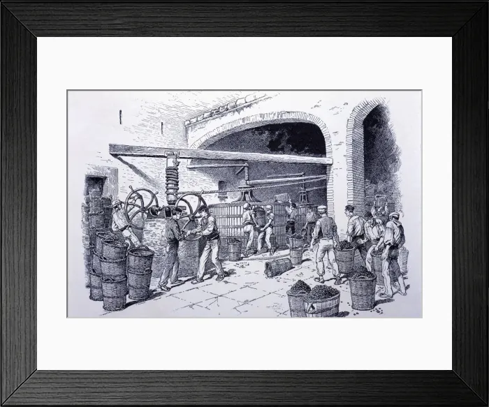 Framed Print : Detail of hand-presses at a winery, engraving, 1900 Framed Print : Detail of hand-presses at a winery, engraving, 1900