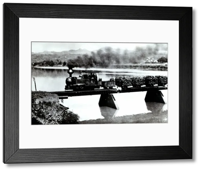 Framed Print : Narrow track train in the fields of Cuba, transporting sugar cane to the factories, photograph 1920 Framed Print : Narrow track train in the fields of Cuba, transporting sugar cane to the factories, photograph 1920