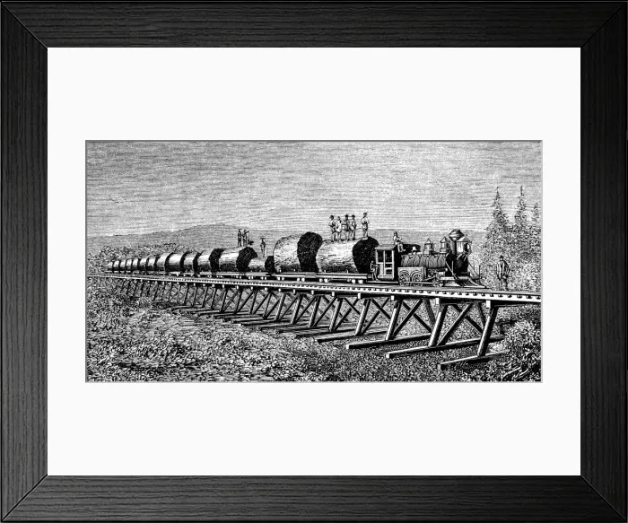 Framed Print : Steam train carrying trunks of giant trees in California, engraving of 1886 Framed Print : Steam train carrying trunks of giant trees in California, engraving of 1886