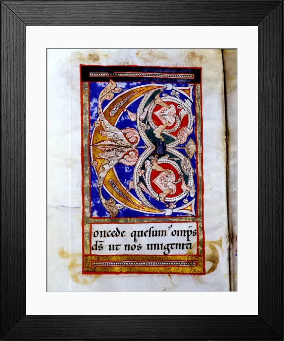 Framed Print : Drop cap C illuminated with floral motives in the Sacramentary of San Juan de las Abadesas Framed Print : Drop cap C illuminated with floral motives in the Sacramentary of San Juan de las Abadesas