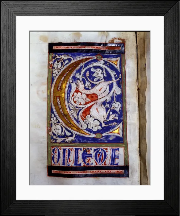 Framed Print : Drop cap C illuminated with a quadruped and floral motifs in the Sacramentary Framed Print : Drop cap C illuminated with a quadruped and floral motifs in the Sacramentary