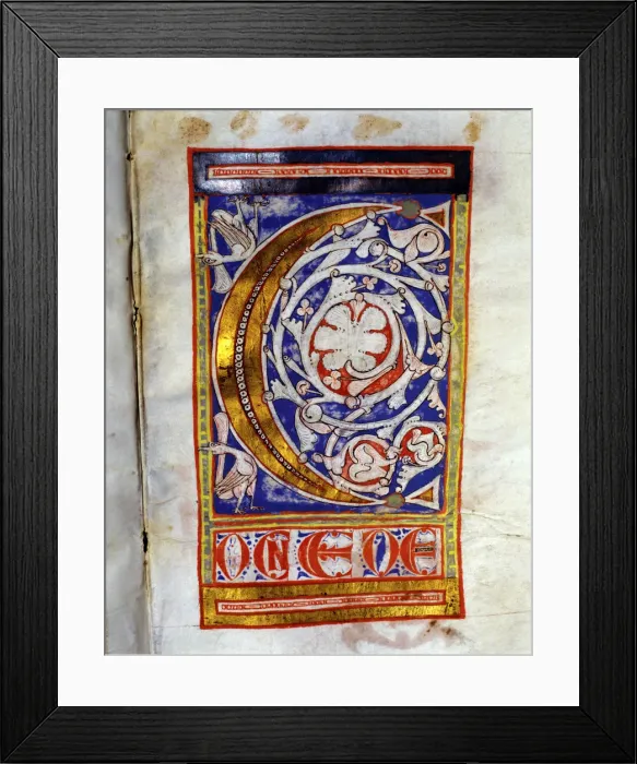Framed Print : Drop cap C illuminated with two birds and lush floral decoration, manuscript Framed Print : Drop cap C illuminated with two birds and lush floral decoration, manuscript
