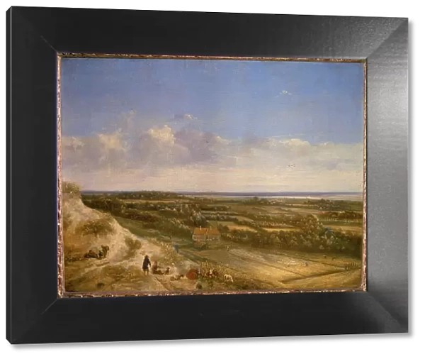 View of Haarlem from the dunes