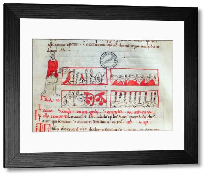 Framed Print : Farmer in sowing time. Miniature from Homilias de Beda, codex from the second Framed Print : Farmer in sowing time. Miniature from Homilias de Beda, codex from the second