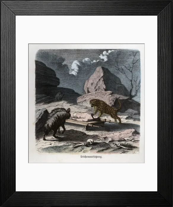 Framed Print : Ancient History. Persia. Abandonment of a corpse to the beasts. German engraving, 1865 Framed Print : Ancient History. Persia. Abandonment of a corpse to the beasts. German engraving, 1865