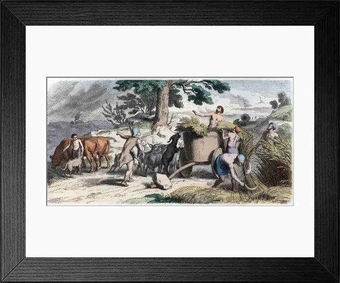 Framed Print : Ancient History. Greece. Farming and harvesting. German engraving, 1865 Framed Print : Ancient History. Greece. Farming and harvesting. German engraving, 1865