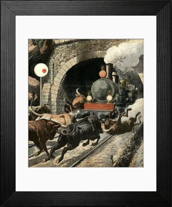 Framed Print : Bulls attacking a passengers train, in Cercedilla tunnel exit, in the Sierra de Guadarrama Framed Print : Bulls attacking a passengers train, in Cercedilla tunnel exit, in the Sierra de Guadarrama