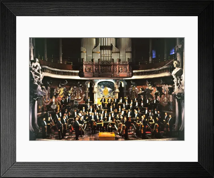 Framed Print : The OCB (Orquesta Ciutat de Barcelona i Nacional de Catalunya) on stage at the Palau Framed Print : The OCB (Orquesta Ciutat de Barcelona i Nacional de Catalunya) on stage at the Palau