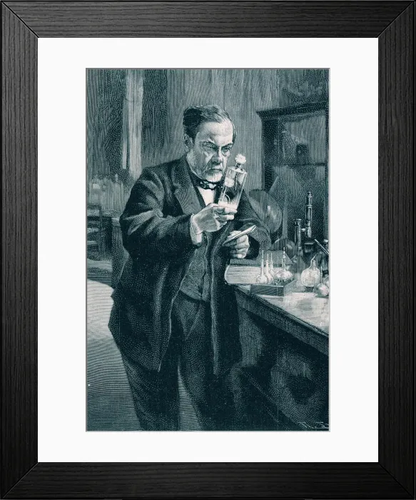 Framed Print : Pasteur, Louis (1822 - 1895), French chemist and bacteriologist, engraving Framed Print : Pasteur, Louis (1822 - 1895), French chemist and bacteriologist, engraving