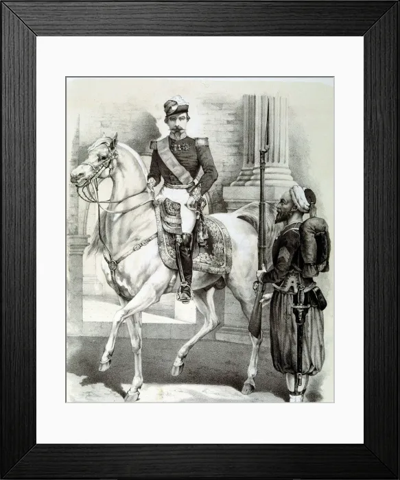Framed Print : Napoleon III (1808-1870), Emperor of France Framed Print : Napoleon III (1808-1870), Emperor of France