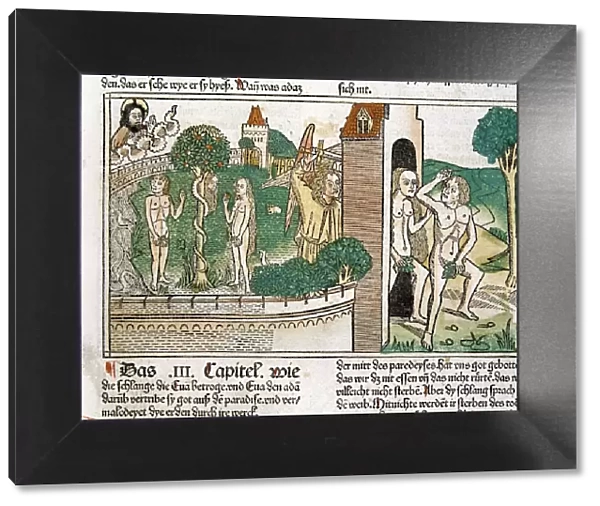 Engraving showing Adam and Eve in paradise, scene in the Bible of Nuremberg, German edition 1483