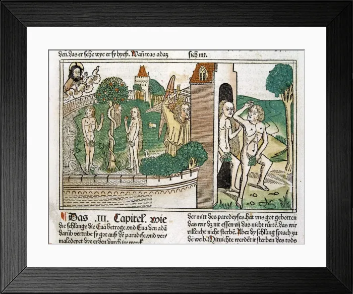Framed Print : Engraving showing Adam and Eve in paradise, scene in the Bible of Nuremberg, German edition 1483 Framed Print : Engraving showing Adam and Eve in paradise, scene in the Bible of Nuremberg, German edition 1483