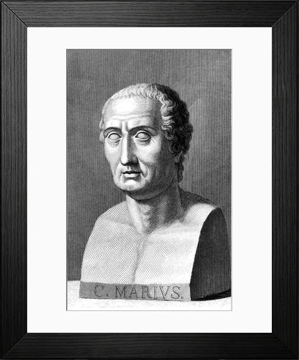 Framed Print : 2683612 Framed Print : 2683612