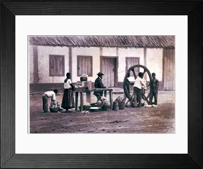 Framed Print : 2683716 Framed Print : 2683716