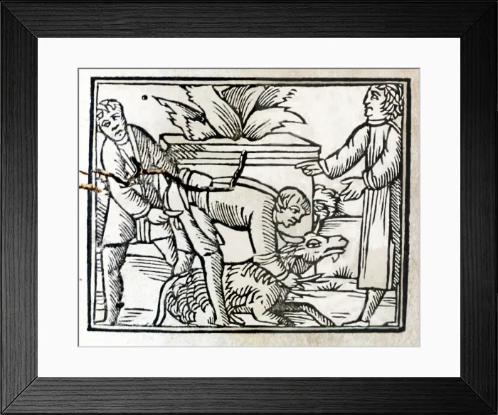 Framed Print : 2683767 Framed Print : 2683767
