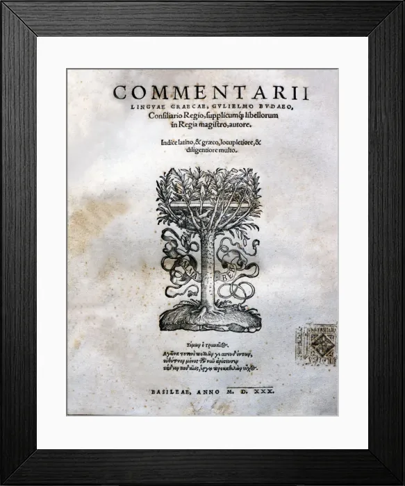 Framed Print : 2683768 Framed Print : 2683768