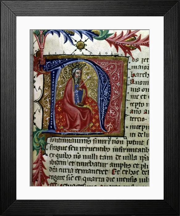 Framed Print : 2684033 Framed Print : 2684033
